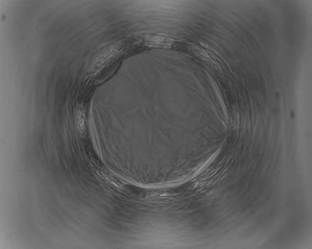 X0000067371154200604211535