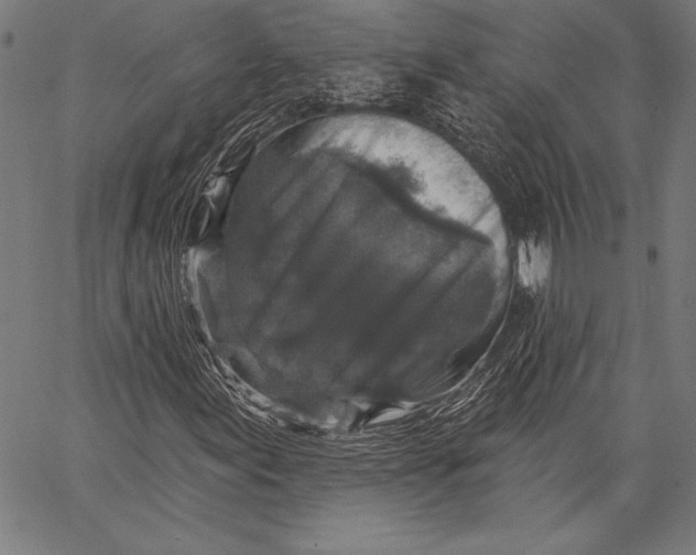 X0000067371155200604211535