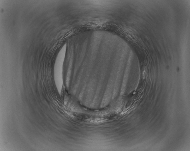 X0000067371156200604211535