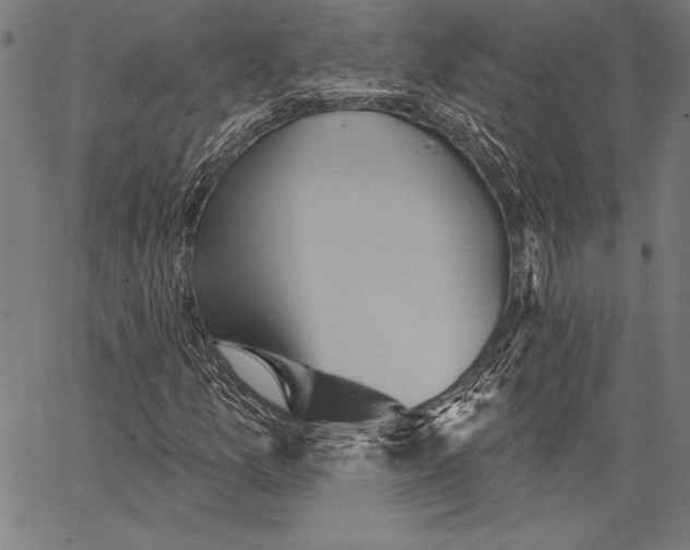 X0000067371157200604211535