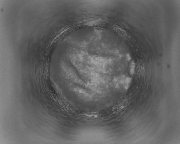 X0000067371158200604211535