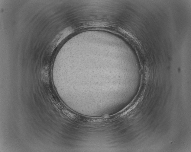 X0000067371162200604211535