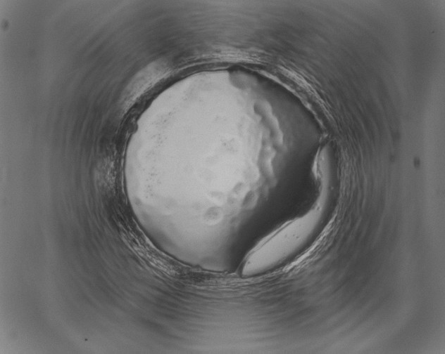 X0000067371163200604211535