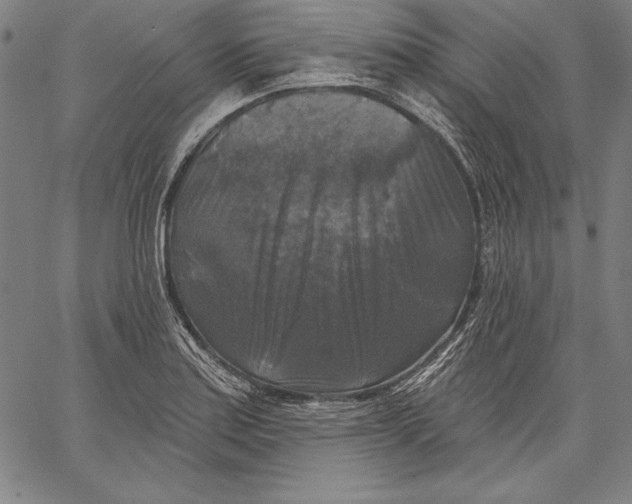 X0000067371179200604211534