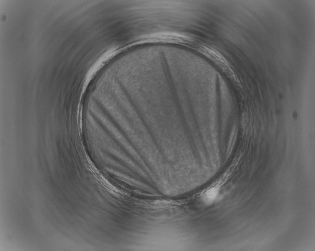 X0000067371180200604211534
