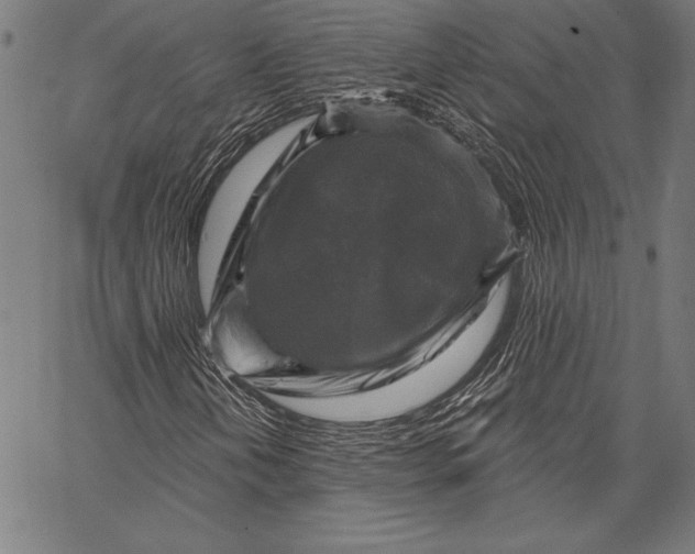 X0000067371202200604211533