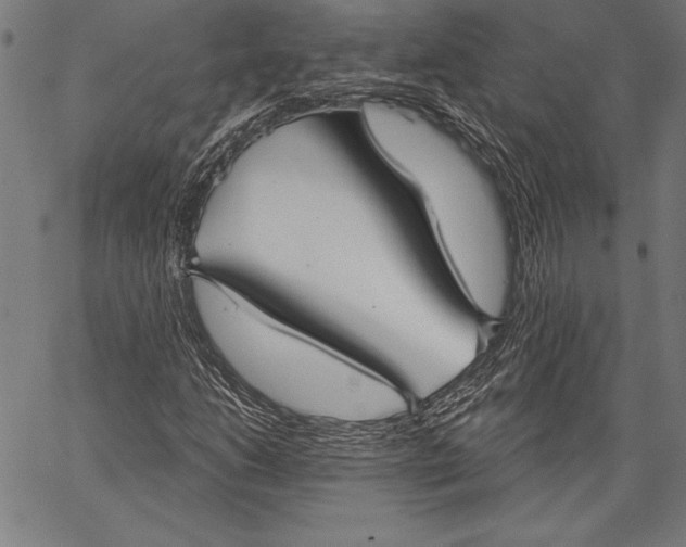 X0000067371206200604211533
