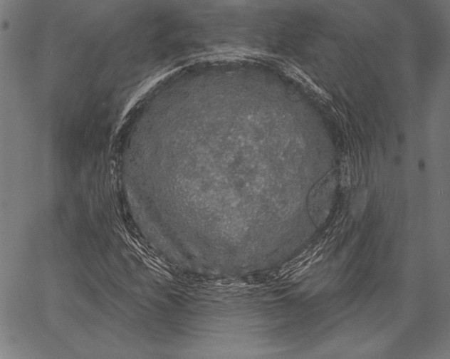X0000067371208200604211533
