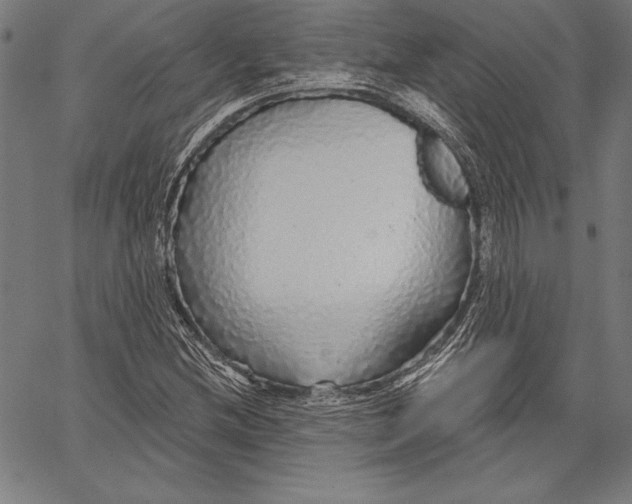 X0000067371212200604211533