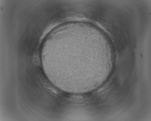 X0000067371215200604211533