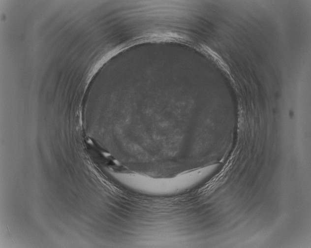X0000067371226200604211534