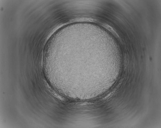 X0000067371228200604211534