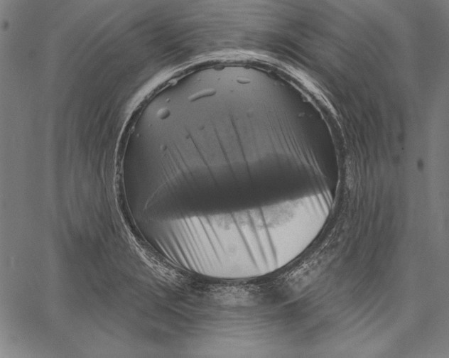 X0000067371229200604211534