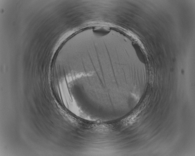 X0000067371231200604211534