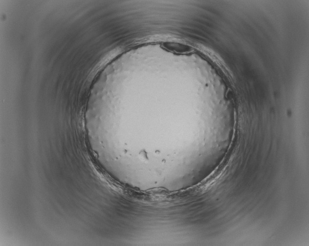 X0000067371241200604211534