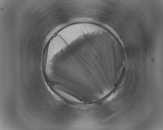 X0000067371245200604211534