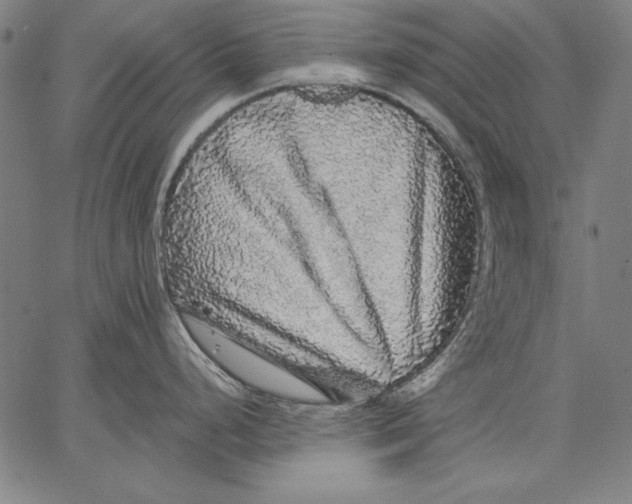 X0000067371248200604211534