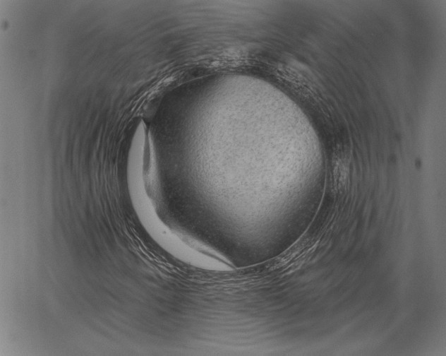 X0000067371250200604211533