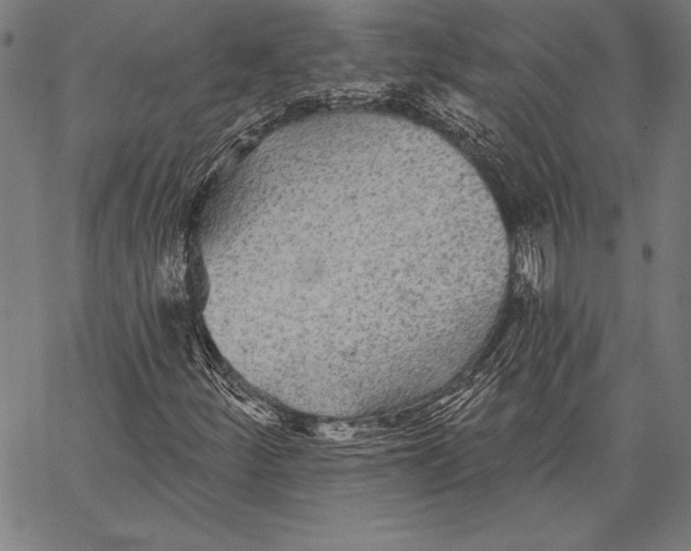 X0000067371252200604211533