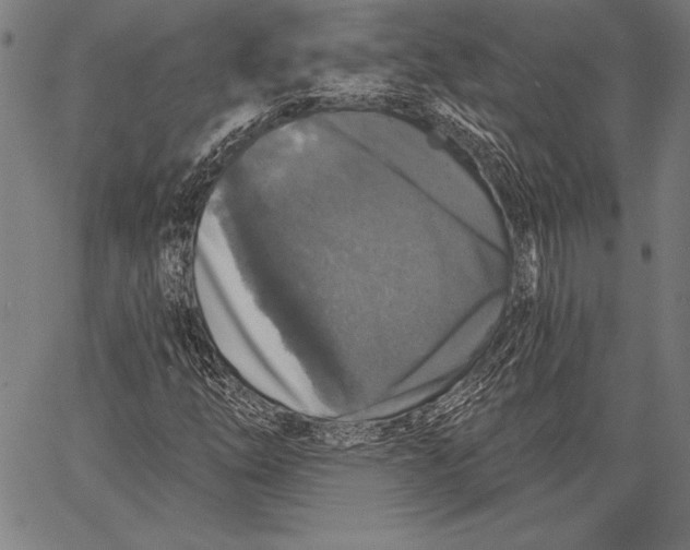 X0000067371254200604211533