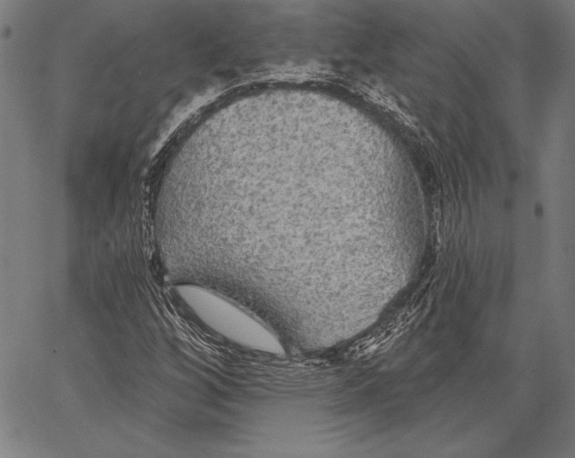 X0000067371256200604211533