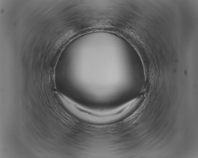 X0000067371257200604211533