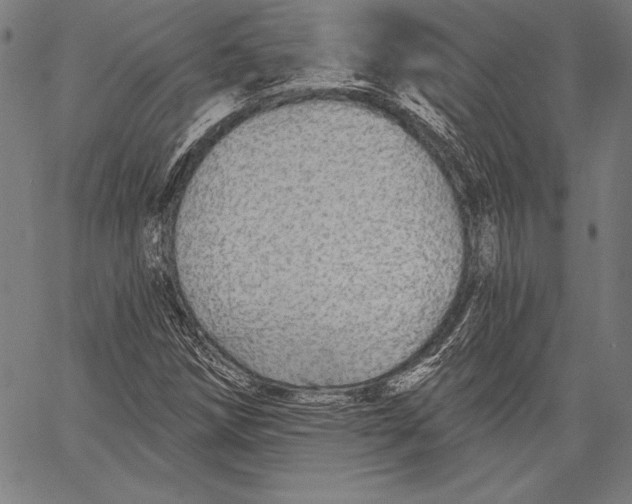 X0000067371258200604211533