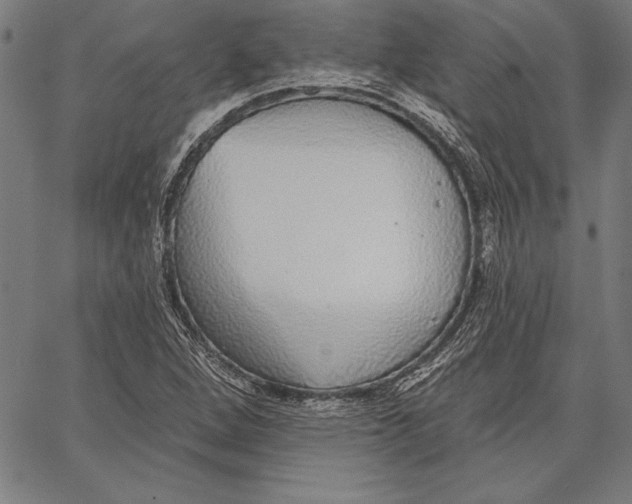X0000067371264200604211533