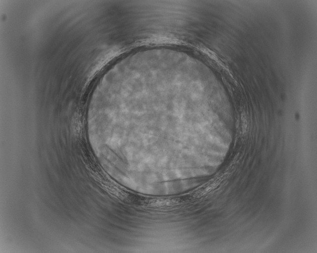 X0000067371266200604211533