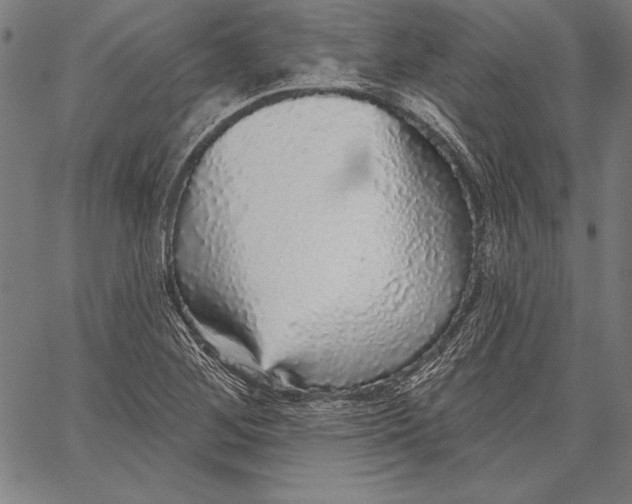X0000067371268200604211533