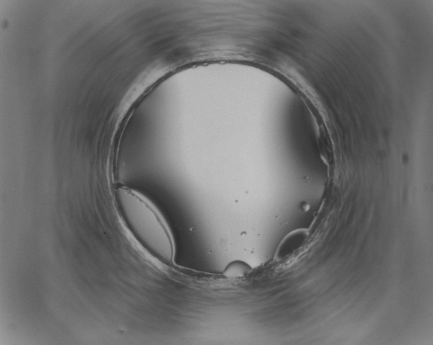 X0000067371293200604211532