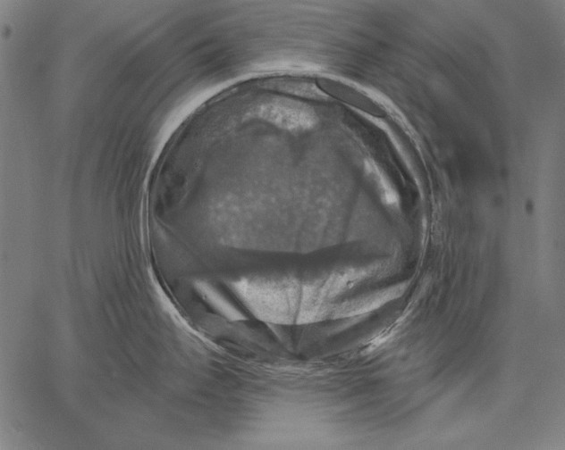 X0000067371295200604211532