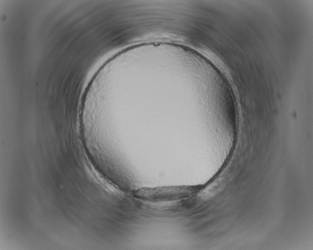 X0000067371296200604211532