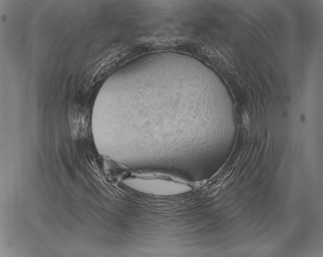 X0000067371300200604211532