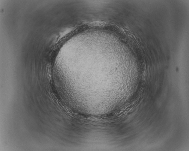 X0000067371301200604211532