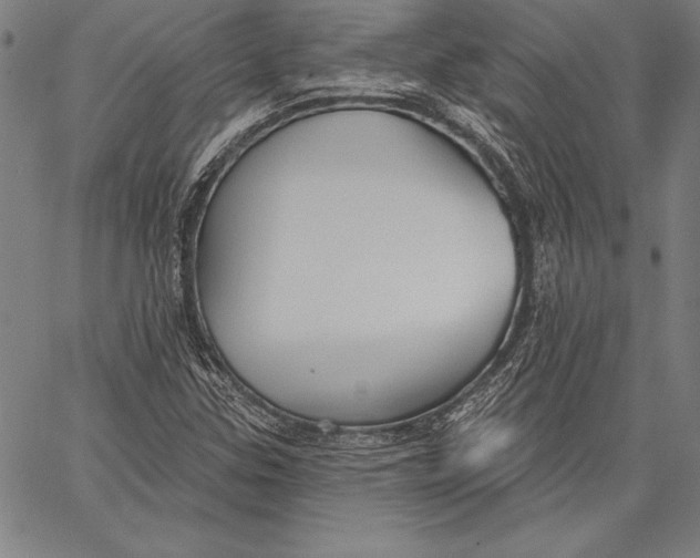 X0000067371307200604211532