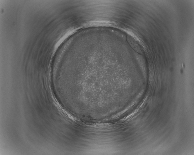 X0000067371325200604211532