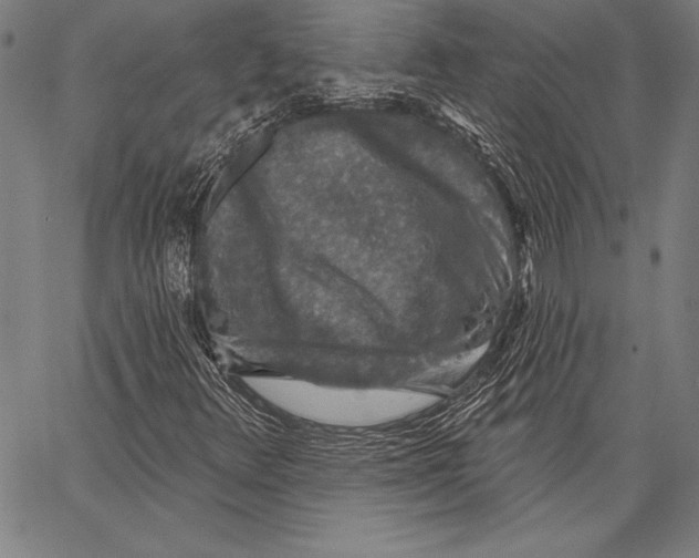 X0000067371348200604211532