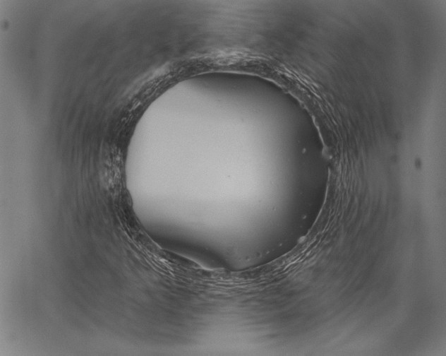 X0000067371349200604211532