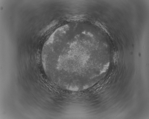 X0000067371350200604211532