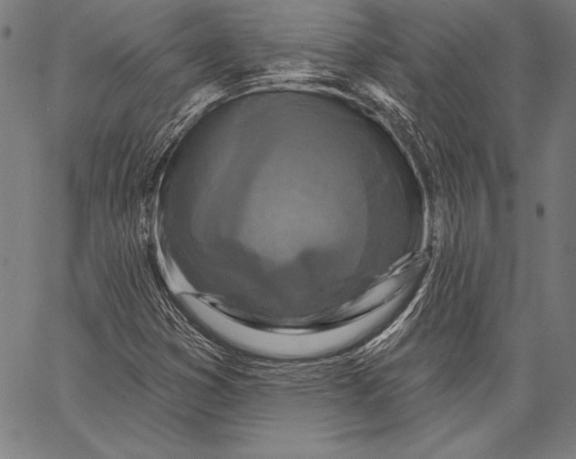 X0000067371353200604211531