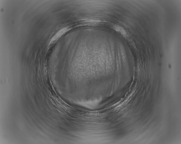 X0000067371354200604211531
