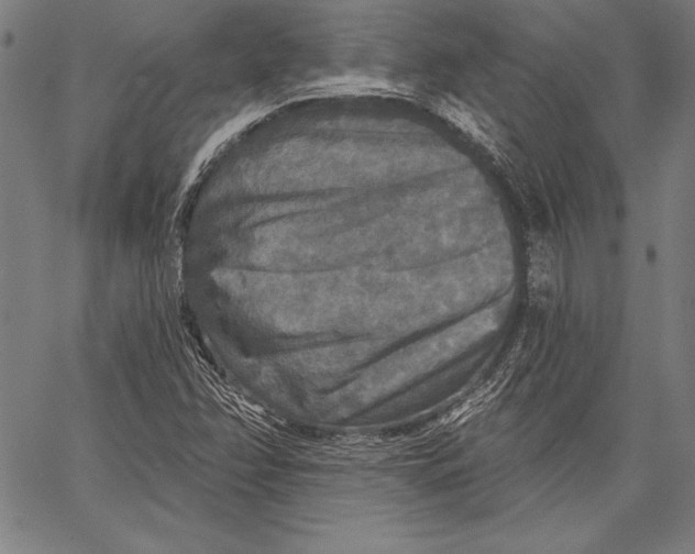 X0000067371358200604211531