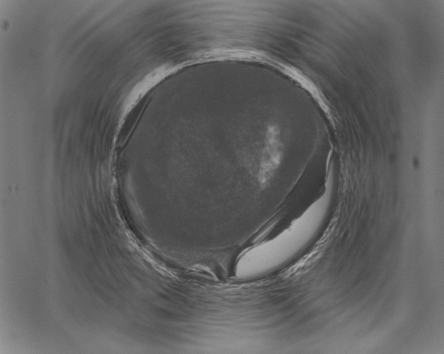 X0000067371373200604211531