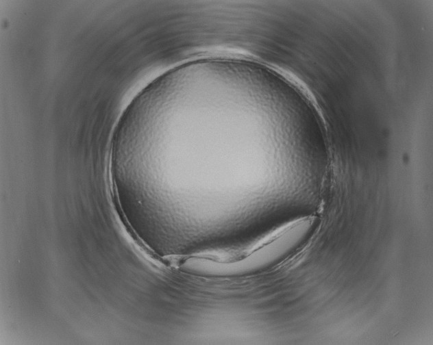 X0000067371391200604211531