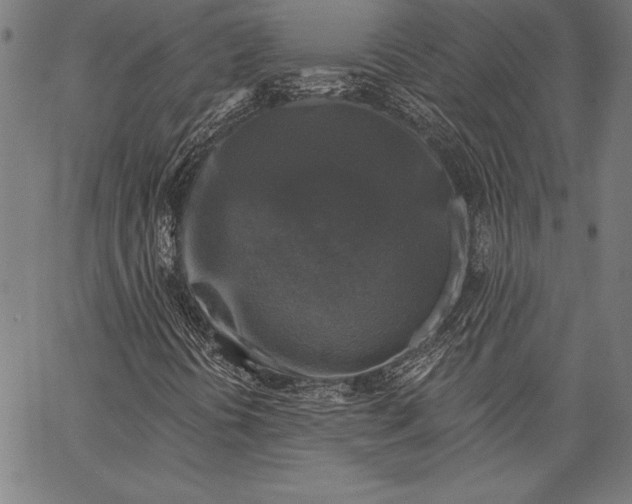 X0000067371394200604211530