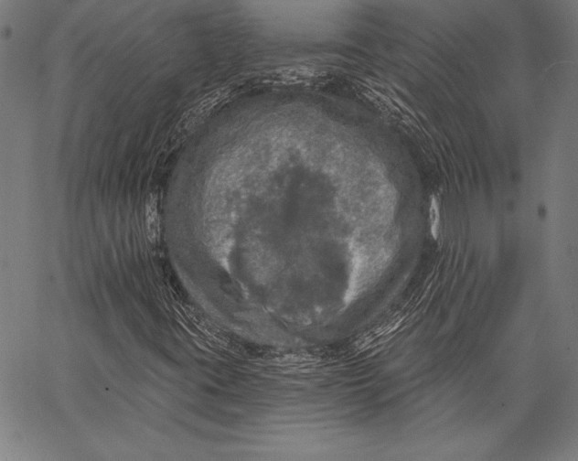 X0000067371395200604211530