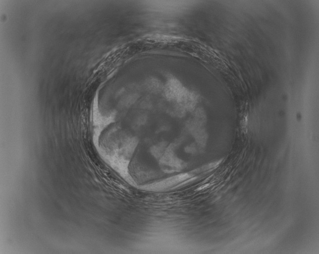 X0000067371397200604211530