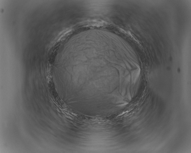 X0000067371399200604211530