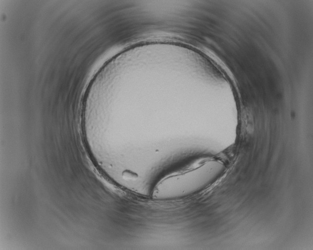 X0000067371437200604211531